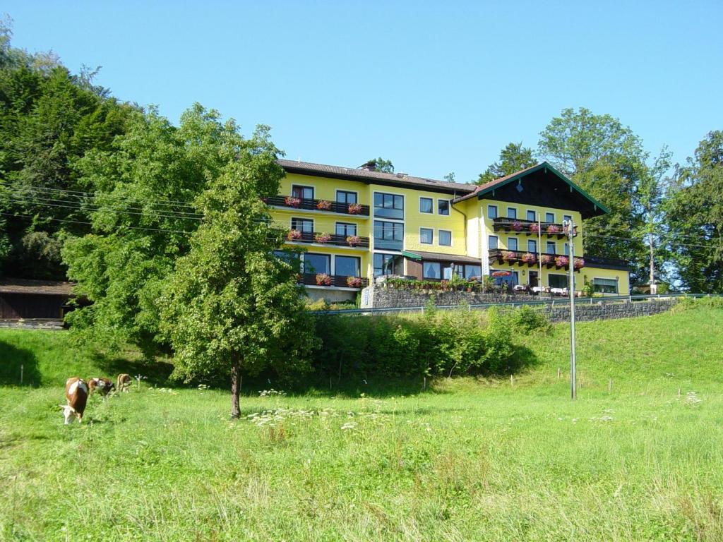 Hotel Zur Schonen Aussicht Übersee Екстериор снимка