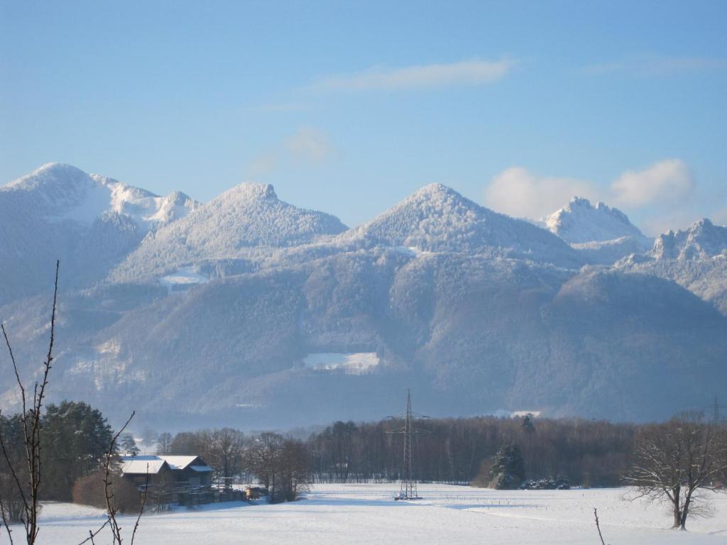 Hotel Zur Schonen Aussicht Übersee Екстериор снимка